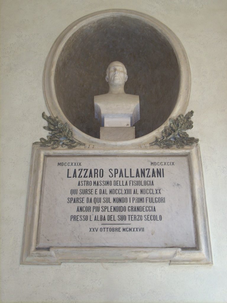 Lazzaro Spallanzani S Bust